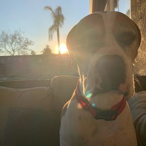 Meet your Posher, Faith